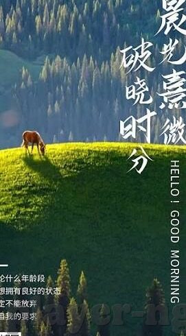 足球比分大1-揭秘足球比分大1背后的玄机，进球盛宴还是策略博弈？